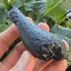 Thailand Indochinite tektite 73.73g Carousel 2