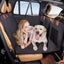 PAWMOM Pet Car Seat Cover Upgraded 6-IN-1 Waterproof & Scratch Proof Nonslip ... Carousel 15