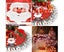 35 Inch Christmas Tree Skirt Xmas Party Tree Mat with Santa Claus Deer Christ Carousel 5