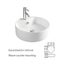 Counter Top Ceramic Basin - A003 Carousel 2