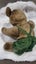 Madrigal Designs Just an old fashion bear-Made In England Carousel 8