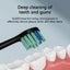 Rechargeable Sonic Electric Toothbrush Waterproof Comes with 8 Brushheads Carousel 6