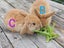 Mini loop rabbit Carousel 12