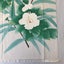 Vintage Japanese Cream Silk Floral Fabric Piece Kimono Panel Carousel 12
