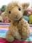 Vintage Tails & Tales Teddy Bear & Prokiwi Lamb Carousel 6