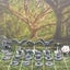 Cute Critters Woodland Animal Miniatures Set DnD dice4dungeons SCHLOSS Carousel 2