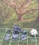 Cute Critters Woodland Animal Miniatures Set DnD dice4dungeons SCHLOSS Carousel 4