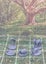 Cute Critters Woodland Animal Miniatures Set DnD dice4dungeons SCHLOSS Carousel 5