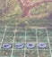 Cute Critters Woodland Animal Miniatures Set DnD dice4dungeons SCHLOSS Carousel 8