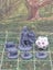Cute Critters Woodland Animal Miniatures Set DnD dice4dungeons SCHLOSS Carousel 11