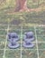 Cute Critters Woodland Animal Miniatures Set DnD dice4dungeons SCHLOSS Carousel 12