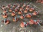 Long-awaited Tyranid Army - Pro-painted and Absolutely Epic Carousel 8