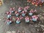Long-awaited Tyranid Army - Pro-painted and Absolutely Epic Carousel 10