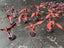 Long-awaited Tyranid Army - Pro-painted and Absolutely Epic Carousel 18
