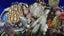 $1 RESERVE!!! HUGE ANTIQUE VINTAGE ESTATE JEWELLERY Carousel 17