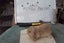 Pure Bred Mini Lop Babies Carousel 14