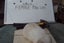 Pure Bred Mini Lop Babies Carousel 11