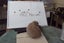Pure Bred Mini Lop Babies Carousel 19