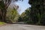 gallery view thumbnail