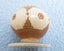 Antique bone Persian or Northern Indian perfume/scent bottle Carousel 11