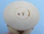 Antique bone Persian or Northern Indian perfume/scent bottle Carousel 18