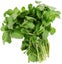 WATERCRESS :Water is vital for growing, tasty leaves! salad/stir-fries 3000+ sds Carousel 3