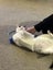 DOT - AVAILABLE FOR ADOPTION - PET WHISPERER RESCUE Carousel 3