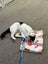 DOT - AVAILABLE FOR ADOPTION - PET WHISPERER RESCUE Carousel 4