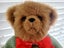 Collectable Teddy Bear 33cm 5-Way Jointed Excellent Cond Carousel 5