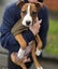Teagan (Ellie's Canine Rescue & Rehome) Carousel 6