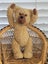Collectable Heartfelt Teddy Bear 25cm 5-Way Jointed Carousel 4