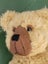 Collectable Heartfelt Teddy Bear 25cm 5-Way Jointed Carousel 6
