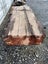 21cm Thick Rata Slab – Premium NZ Native Hardwood Carousel 7