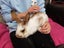 Baby Rabbit Carousel 6