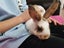 Baby Rabbit Carousel 3