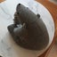 Adorable Felt Bears $1-00 Res : A NEW HOME ^^ Sebastian: Basil : Help Please Carousel 9