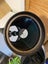 Bushnell Northstar 'GoTo' Telescope Carousel 5