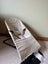 BabyBjorn bouncer Carousel 1