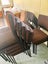 stackable meeting chairs bulk x26 Carousel 6