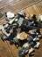 Pounamu greenstone bits and bobs offcuts and more 2.3 kgs $1 reserve Carousel 1