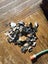 Pounamu greenstone bits and bobs offcuts and more 2.3 kgs $1 reserve Carousel 2
