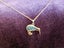 Kiwi bird genuine NZ paua shell necklace Carousel 1