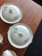 Myott Son & Co. Ltd. Hand Painted Set Carousel 3
