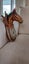 Horse head barometer Carousel 2
