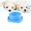 Anti-Ant Pet Food Bowl – Durable Plastic Spill-Proof – Green Carousel 2