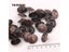 50Pcs 23*19mm Antique Flower Nail Decorative Upholstery Tacks Stud Wooden Box Carousel 4