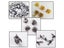 5PCS/set Door Stop Cabinet Catches With Screws For Furniture Carousel 8