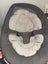 NUNA LEAF CURV GRANITE WITH TOYBAR & WIND ATTACHMENT Carousel 7