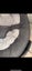 NUNA LEAF CURV GRANITE WITH TOYBAR & WIND ATTACHMENT Carousel 3