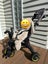 Doona trike Carousel 2